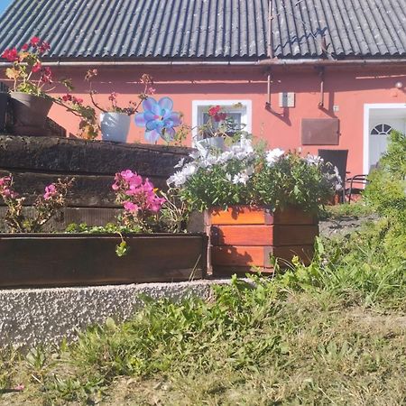 Ubytovani U Machalu Villa Leskovec Nad Moravici Buitenkant foto