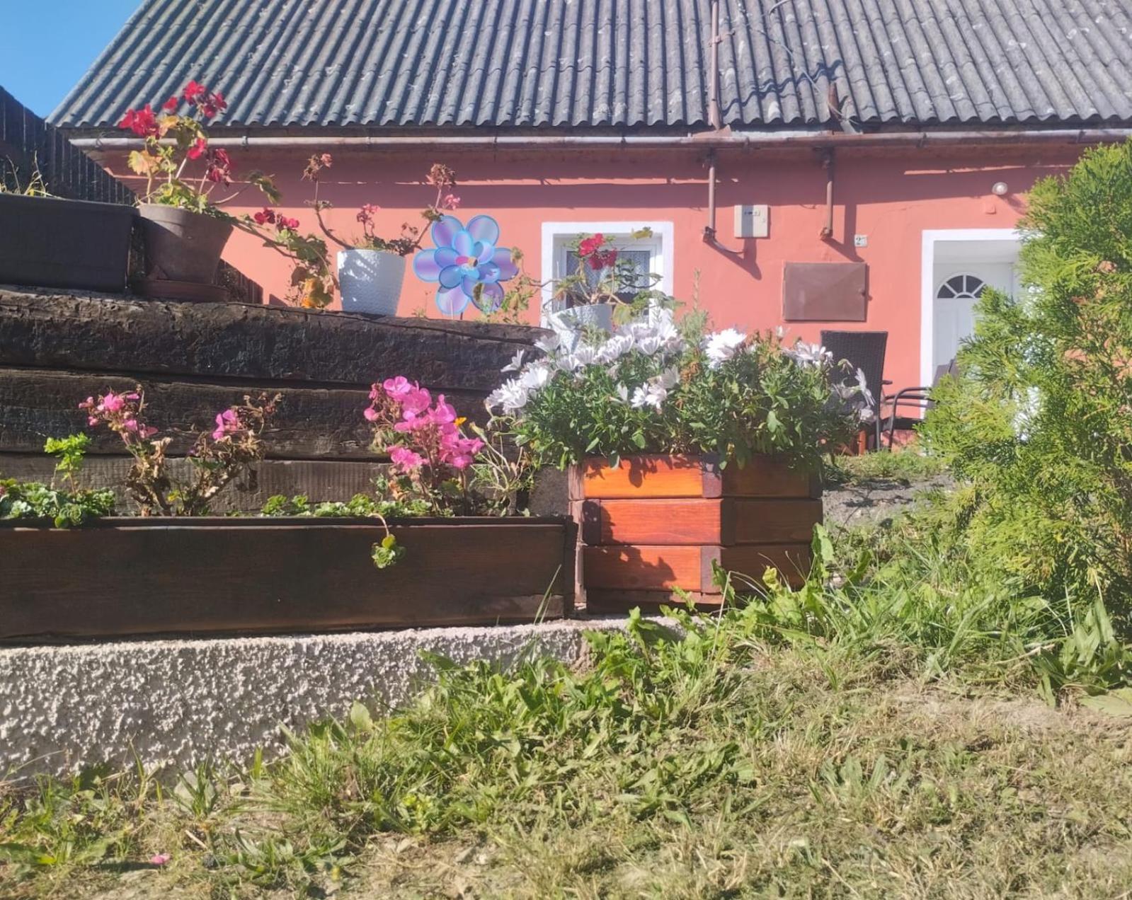 Ubytovani U Machalu Villa Leskovec Nad Moravici Buitenkant foto